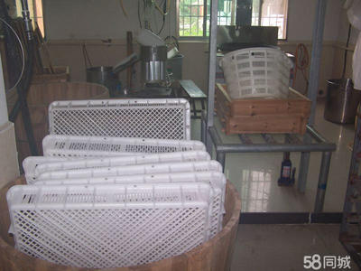 从“豆腐加工器械及技术转让”看传统食品行业的现代化转型