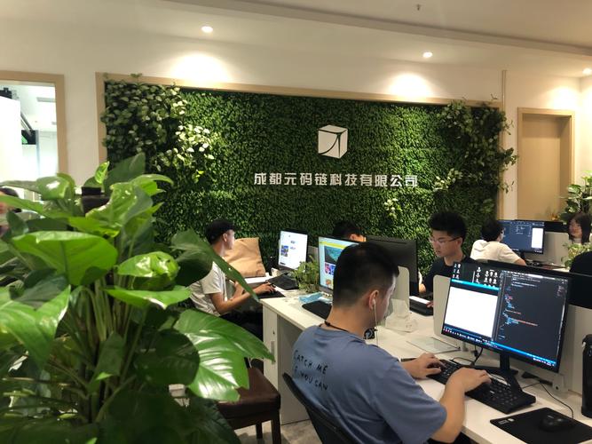 技术为王 林碧波公司的转型与发展之道